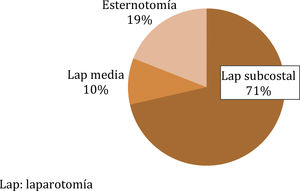 Incisiones de la cirugía previa. Lap: laparotomía.