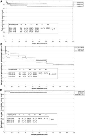 Supervivencia global y por periodos del paciente (A) y de los injertos pancreático (B) y renal (C). Los porcentajes se han calculado con base en la muestra disponible en el año evolutivo.