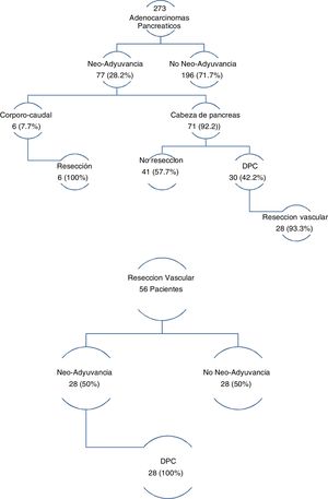 Diagrama de flujo neo-adyuvancia. DPC: duodenopancreatectomía cefálica.