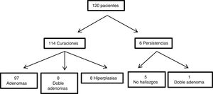 Diagrama de flujo de los resultados quirúrgicos.