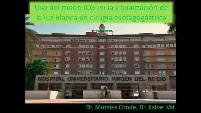 https://ars.els-cdn.com/content/image/1-s2.0-S0009739X21001718-mmc1.mp4