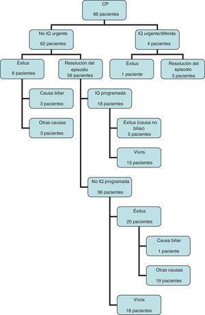 Diagrama de flujo de evolución y seguimiento de los pacientes sometidos a CP. CP: colecistostomía percutánea; IQ: intervención quirúrgica.