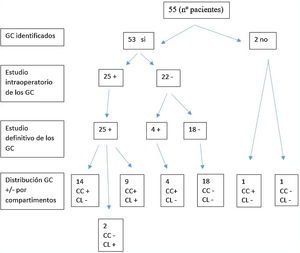 Correlación entre los hallazgos intraoperatorios y el estudio anatomopatológico final del ganglio centinela tras la disección central y lateral. CC: compartimento central; CL: compartimento lateral; GC: ganglio centinela.