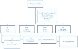 Propuesta de algoritmo diagnóstico-terapéutico para las neoplasias neuroendocrinas ampulares no diseminadas. Adaptado de Millaneto AC. et a.l5. EDA: endoscopia digestiva alt; DPC: duodenopancreatectomía cefálica.
