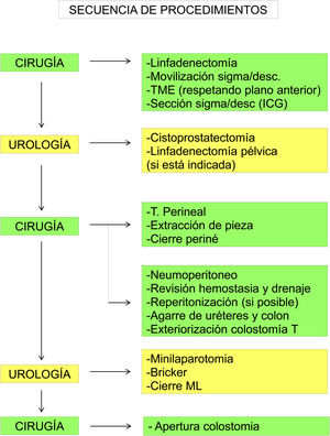 Secuencia de procedimientos quirúrgicos para exenteración pélvica total masculina.