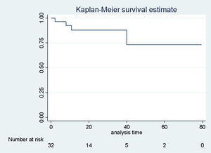Sobrevida global en hepatocarcinoma según el estimador de Kaplan-Meier.