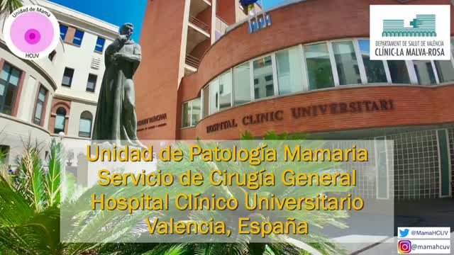 https://ars.els-cdn.com/content/image/1-s2.0-S0009739X23001215-mmc1.mp4
