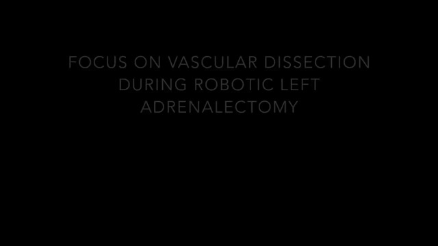 https://ars.els-cdn.com/content/image/1-s2.0-S0009739X24000629-mmc1.mp4