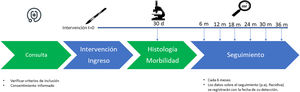 Línea de tiempo del estudio LORENA con los distintos momentos de entrada de información en la base de datos REDCap. Estas entradas de información son las establecidas en el protocolo de estudio, al margen de la práctica clínica habitual de cada institución participante.