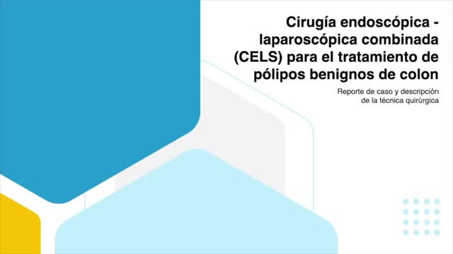 https://ars.els-cdn.com/content/image/1-s2.0-S0009739X24002677-mmc1.mp4