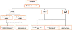 Propuesta de algoritmo de tratamiento en el cáncer de recto.