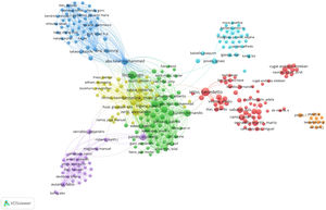 Análisis de coautorías llevado a cabo mediante el programa VOSviewer.