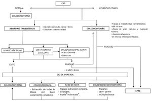 Algoritmo diagnóstico/terapéutico para el manejo intraoperatorio de la coledocolitiasis. Fuente: Modificado de Estellés Vidagany, et al.17.
