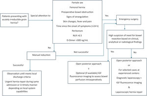 Proposed updated algorithm for the management of acute irreducible inguinal hernias.
