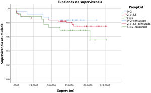 Curvas de supervivencia obtenidas en los 3niveles de riesgo.