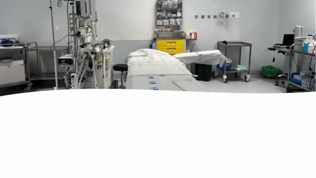 https://ars.els-cdn.com/content/image/1-s2.0-S0009739X25015787-mmc2.mp4