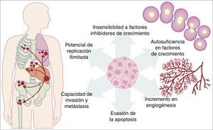 Esquema que ilustra algunas de las características patológicas adquiridas por una célula cancerígena que le ayudan a sobrevivir en el organismo. Fuente: Adaptado de Hanahan y Weinberg18.