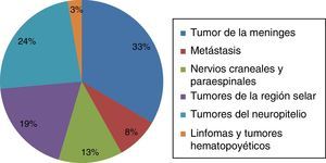 Distribución de los tumores de sistema nervioso central según grupos histológicos (n=511).