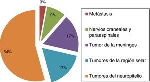 Distribución de tumores en pacientes menores de 19 años (n=35).