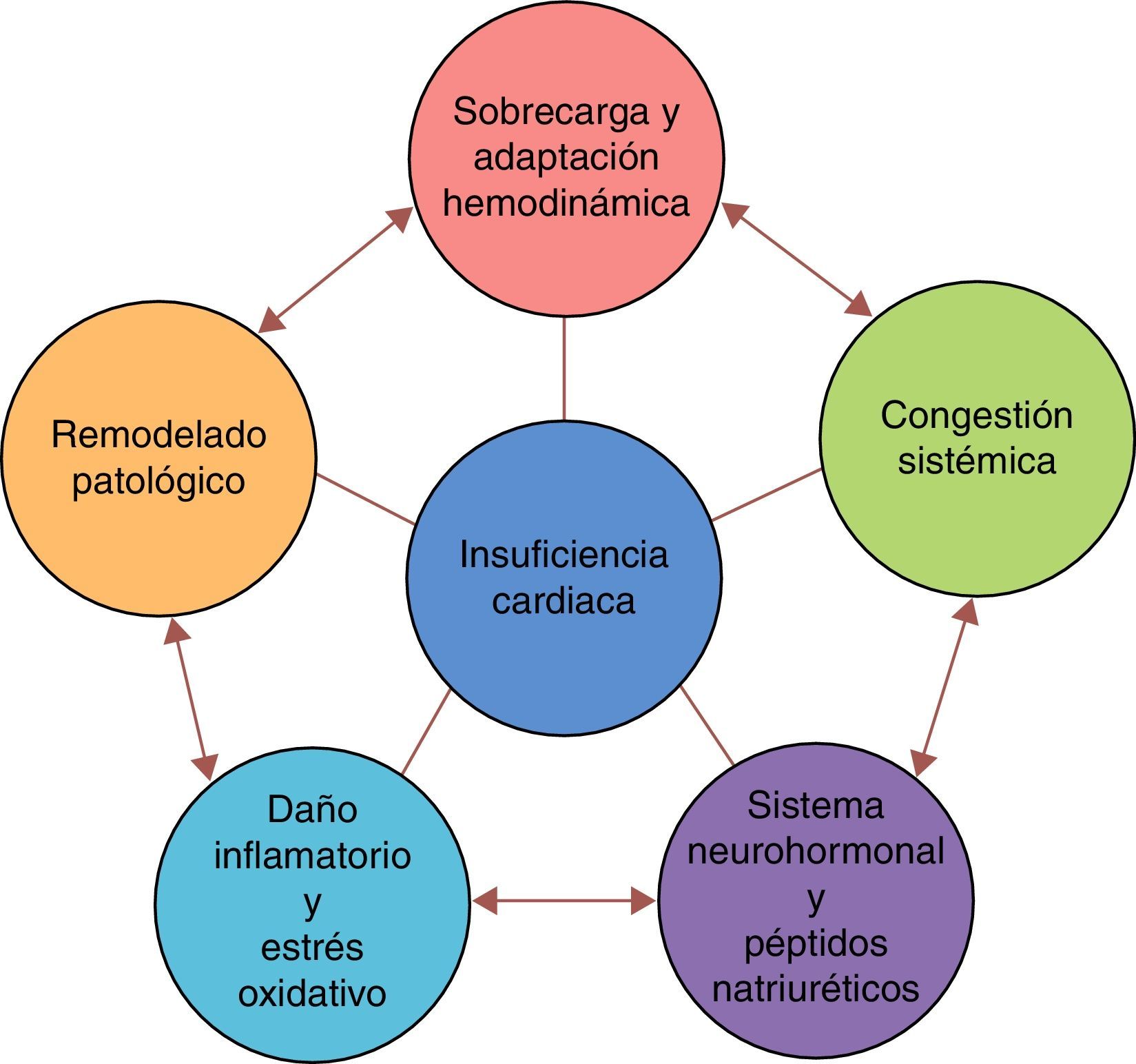 Fisiopatología de la insuficiencia cardiaca aguda: un mundo por conocer