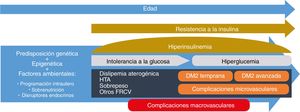 Desarrollo progresivo de la diabetes tipo 2. DM2: diabetes mellitus tipo 2; FRCV: factores de riesgo cardiovascular; HTA: hipertensión arterial.