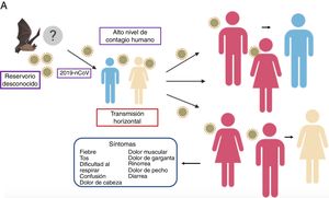 Propagación del 2019-nCoV. Se tienen diferentes hipótesis sobre la transmisión de animal a humano, la más fuerte es que su origen proviene de murciélagos; mientras que la transmisión entre humanos se ha reportado por vía respiratoria, por lo que eleva más fácilmente el contagio entre las poblaciones. El cuadro sintomático es muy común con fiebre, tos, dolor muscular y problemas respiratorios, entre otros.