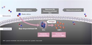 Mecanismo de acción de vericiguat. Figura adaptada de Armstrong et al.28, Gheorghiade et al.39, Breitenstein et al.43 y Follmann et al.44.