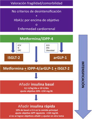 Estrategia para el inicio e intensificación del tratamiento hipoglucemiante y la terapia con pautas complejas de insulina. arGLP-1: agonistas del receptor de la GLP-1; ECV: enfermedad cardiovascular; ERC: enfermedad renal crónica; GPA: glucemia plasmática en ayunas; GPP: glucemia plasmática preprandial; IC: insuficiencia cardíaca; iDPP-4: inhibidores de la DPP-4; iSGLT-2: inhibidores de la SGLT-2.