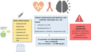 Recomendaciones básicas para el informe de perfil lipídico en laboratorios clínicos españoles.