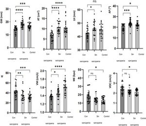 Comparación de los parámetros ecográficos entre los grupos con sarcopenia, sin sarcopenia y de control; ns: p>0,05, *p<0,05, **p<0,01, ***p<0,001, ****p<0,0001.