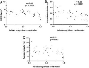 Análisis de correlación entre los índices ecográficos combinados y los parámetros diagnósticos clínicos de sarcopenia. A: Correlaciones entre el IMEA y los índices ecográficos combinados. B: Correlaciones entre la velocidad de la marcha y los índices ecográficos combinados. C: Correlaciones entre la fuerza muscular y los índices ecográficos combinados.