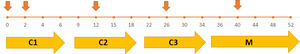 Esquema del protocolo posológico de administración de bevacizumab y de la obtención de muestras (flechas verticales) en los distintos ciclos y fase de mantenimiento. El eje horizontal representa el tiempo indicando las semanas desde el inicio del tratamiento; las flechas verticales representan las analíticas cursadas en la segunda dosis de cada ciclo en el grupo A. C1: ciclo 1; C2: ciclo 2; C3: ciclo 3; M: fase de mantenimiento.