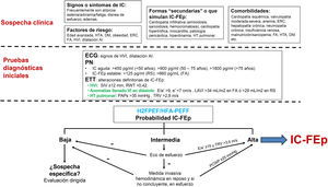 Algoritmo diagnóstico de IC-FEp. AI: aurícula izquierda; DM: diabetes mellitus; ECG: electrocardiograma; ERC: enfermedad renal crónica; ETT: ecocardiograma transtorácico; FA: fibrilación auricular; FC: frecuencia cardíaca; FEVI: fracción eyección del ventrículo izquierdo; HTA: hipertensión arterial; HVI: hipertrofia ventricular izquierda; IC-FEp: insuficiencia cardíaca con fracción de eyección preservada; LAVI: lef tatrial volumen index (índice volumen aurícula izquierda); PAPs: presión sistólica en arterial pulmonar; PN: péptidos natriuréticos; RS: ritmo sinusal; RWT: relative wall thickness (espesor parietal relativo); SIV: septo interventricular; TRV: tricuspid regurgitation velocity (velocidad de regurgitación tricuspídea); VI: ventrículo izquierdo. Fuente: figura realizada a partir de referencias10,11,13,14,34,37,40,41.