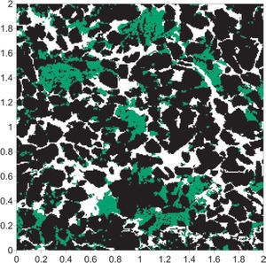 Segmentation of the Figure 2, rock (black), clays (green) and pore space (white).