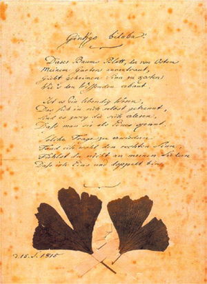 Facsimile of Goethe’s poem Gingo biloba devoted to M. v. Willemer.