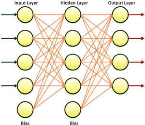 A fully connected multilayer feedforward network with one hidden layer and bias neurons