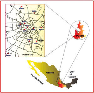 Strong motion network in Puebla (RACP).
