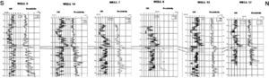 Stratigraphic correlation section (Nort-South direction) that comprises wells 9, 14, 7, 6, 12 and 17.