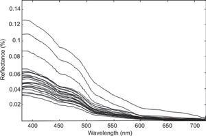 Reflectance profiles of 31 daytime sampling stations. Reflectance profiles of 31 daytime sampling stations.