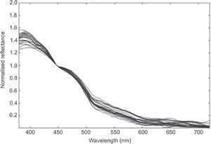 Reflectance spectra normalized at 447.98nm, corresponding to the region of maximum chlorophyll a absorption. Reflectance spectra normalized at 447.98nm, corresponding to the region of maximum chlorophyll a absorption.