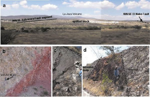(a) General view to the NW of the study area, the escarp of the Balvanera fault can be observed, the trace of the El Nabo fault is inferred by a dotted line because it delimits NE side of the uplifted bock (horst). As reference the La Joya volcano is shown toward the NW of the study area; (b) close view in outcrop of the South Fault (pen for scale) showing the contact between the intrusive body at the left and evidence of hydrothermal activity; (c) outcrop of the intrusive body; (d) outcrop of a plane associated to the El Nabo fault zone, the contact with the intrusive body and the structure of a dyke with brecciated material are shown.