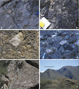 Conglomerate in Cañada de Tarachi Unit showing variation in composition and poor sorting. Images a and b show a conglomerate consisting of rock clasts derived from volcanic rocks which are more or less spherical in shape. Images c and d show a conglomerate consisting mainly of angular-shaped sedimentary clast rocks in a quartz-rich matrix. Images e and f show a conglomerate exposed to the north of the area in Cerro Zoropuchi (f) and in the range to the right. Here, the conglomerate is entirely composed of both Paleozoic and Lower Cretaceous limestone rock rounded clasts.