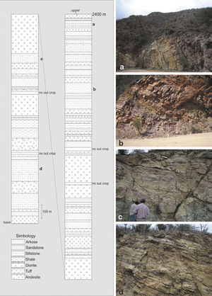 A 2,400 m measured column on a segment of the El Potrero Grande Unit, from the Cerro El Volantín to the Cerro El Batamote. Pictures go from top to bottom, i.e., from a to d. The bold letters in the lithologic column show the approximate location of the picture in the column. Compare the structures observed in the El Potrero Grande Unit with structures recorded in the Cañada de Tarachi Unit in Figure 9.