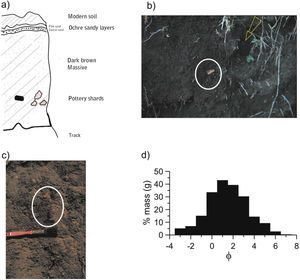 Arroyo Toro Prieto (a) Schematic section of the deposit. (b) Aspect of the deposit. The insert shows some of the fragments collected at this site.(c) Granulometry of the matrix of the deposit.