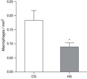 Mean number of alveolar macrophages per microscopic field in the lung parenchyma in neonatal mice exposed to ambient air and hyperoxia for 24h. CG=control group, animals exposed to ambient air; HG=hyperoxia group, animals exposed to 100% oxygen for 24hours. * Means difference between the CG and HG, with a p-value=0.0475 in the unpaired Student's t-test.