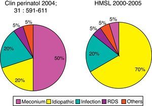 Prevalence of comorbidity associated with PPHN syndrome. Data for North America refer to the publication by Walsh-Sukys et al., 36 HMSL, Hospital e Maternidade São Luiz.