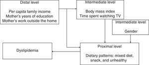 Hierarchical framework of association of dietary patterns with dyslipidemia in preschoolers.