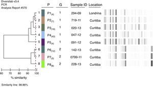 B. pertussis groups and patterns identified in the state of Paraná between 2007-2013. Dendrogram and virtual gel generated by the DiversiLab rep-PCR fingerprinting system. G, Group (1 and 2). P, Pattern (P1, P2, P3, P4, P5, P6, P7, P8).