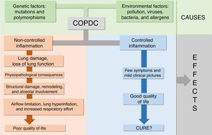 Interactions of causes, effects, and clinical outcomes of chronic obstructive pulmonary disease in children (COPDC).