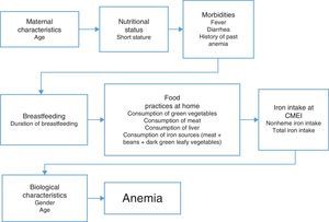 Flow chart of variable input in the regression model.